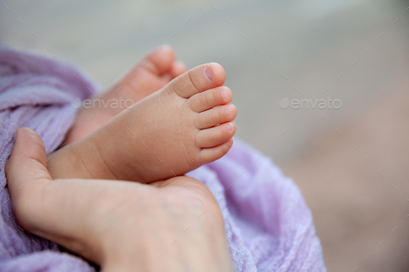 Newborn baby feet in mother's hand at natural light, tiny toes of infant girl - Stock Photo - Images