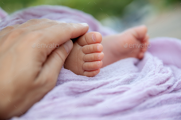 Newborn baby feet and mother's hand at natural light, motherhood and babyhood concept - Stock Photo - Images