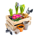 Spring flowers in wooden box and garden tools on white background. Gardening concept - PhotoDune Item for Sale