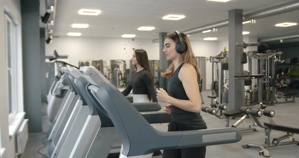Women Going on Treadmills at Modern Gym