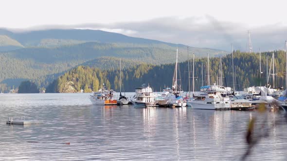 Various drone and DSLR shots at beautiful Deep Cove in Vancouver, BC. alt