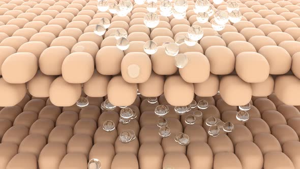 Serum Through the Skin for Medical Design Body Health Care Cosmetic Gel alt