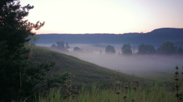 Morning Fog In A Countryside