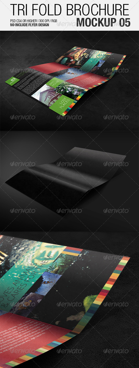 Tri Fold Brochure Mockup 05 - Brochures Print