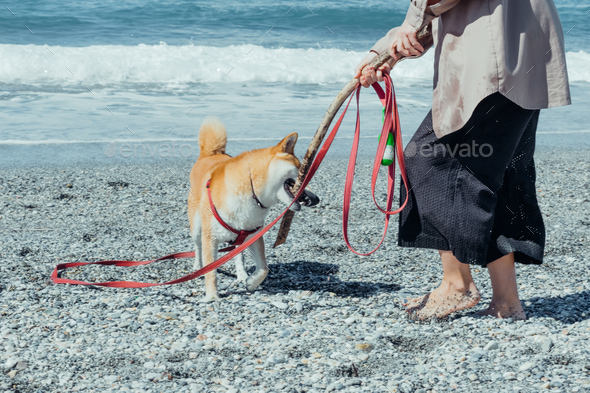 Woman and her four-legged friend having wonderful time walking along the beach.