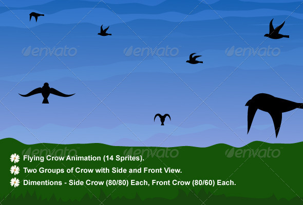 Flying Bird Animation - Animals Characters