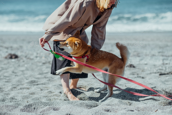 Woman and her four-legged friend having wonderful time walking along the beach.
