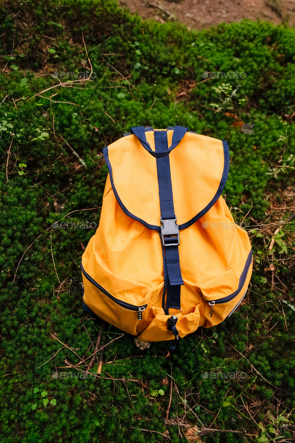 Orange tourist backpack in the forest on green moss - Stock Photo - Images