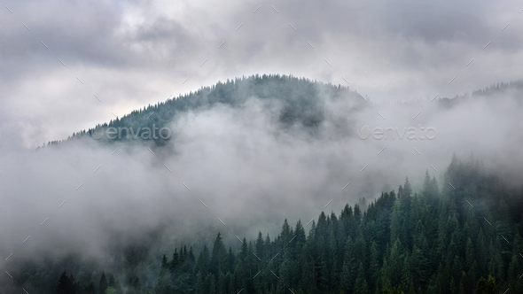 Mountain forest hills covered by fog after raine - Stock Photo - Images