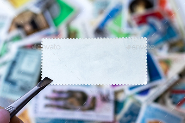 Blank postage stamp in tweezers against blurred background