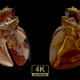 Heart Of Glass - VideoHive Item for Sale