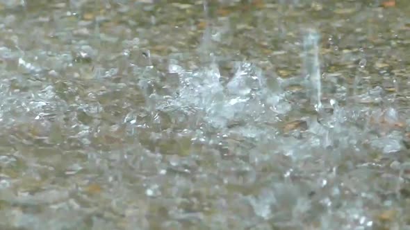 Large Drops of Rainwater Fall into a Puddle