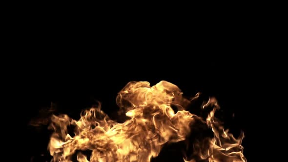 Fire on a Black Background by RuslanL | VideoHive