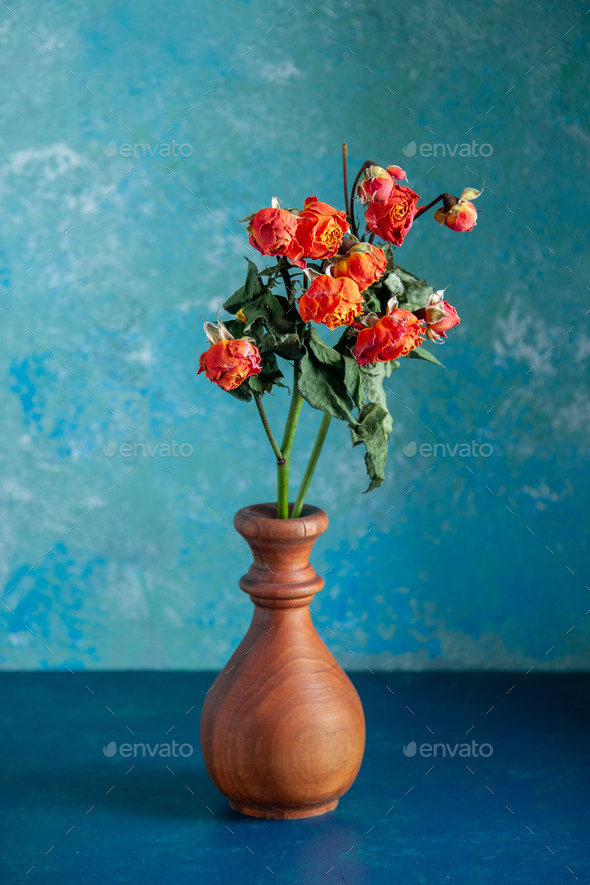 front view red withered flowers inside vase on blue background color