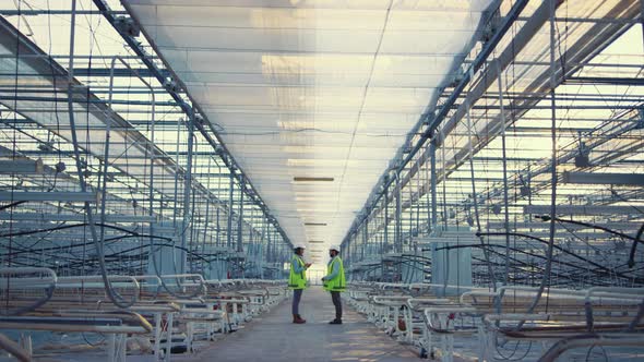 Two Digital Factory Supervisors Discussing Production Level in Empty Greenhouse alt