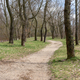 Dirt road in the park on the border between Sosnowiec and Katowice cities - PhotoDune Item for Sale