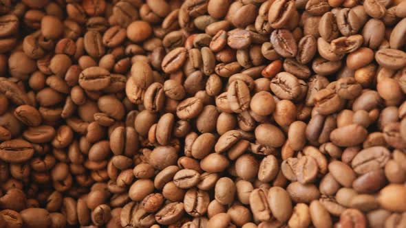 Raw Coffee Beans Close Up alt