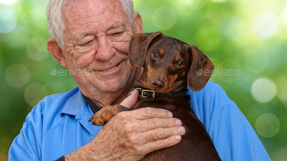 How to Hold a Dachshund Tips and Techniques for Proper Handling