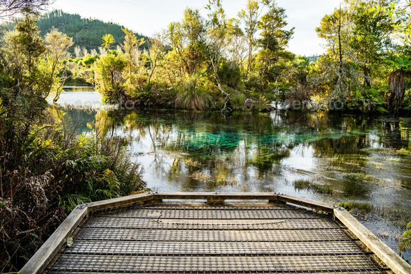 The stunning pupu springs in new zealand - Stock Photo - Images