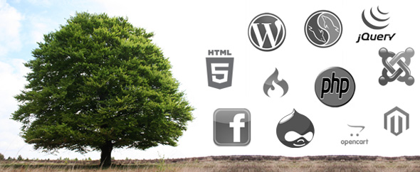 Envato profile image