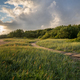 Summer rural landscape with green field, path and lake at sunset - PhotoDune Item for Sale