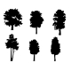 Tree Silhouettes