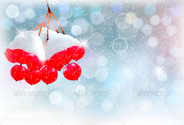 Holiday Background with Branch and Red Berries - Backgrounds Decorative