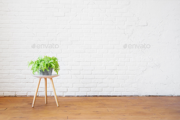 Home plant on a coffee table against the background of an empty brick white wall.
