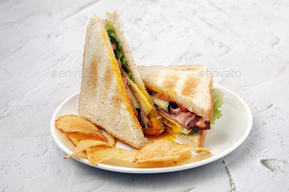 Freshly made ham and cheese sandwich served with potato chips