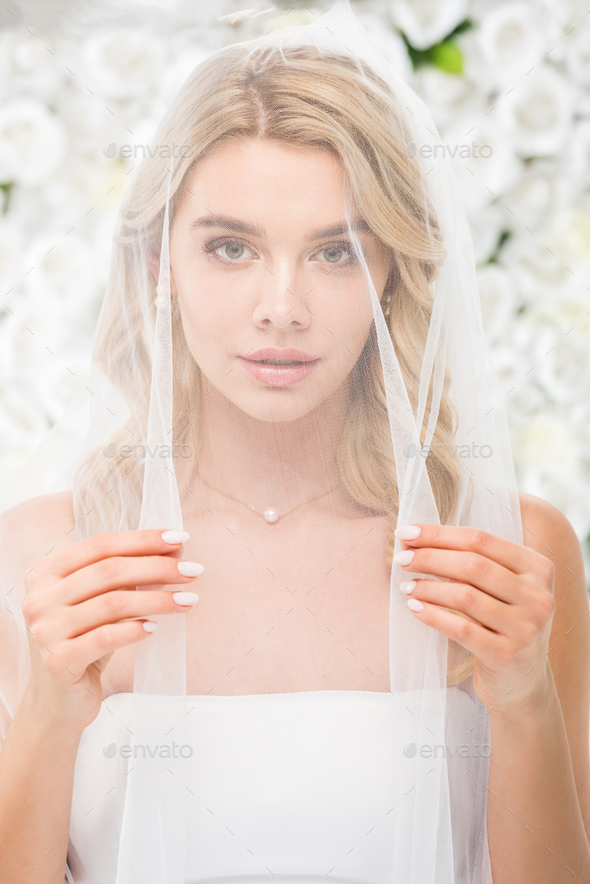 Bridesmaids Looking Camera All Bride's Veil Bride Her Fun Friends Stock  Photo by ©Vasilij33 665313734