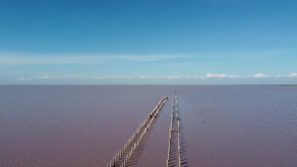 Glittering water surface of red salt lake - stock video