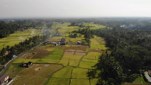 Aerial Rice Fields in Bali, Indonesia