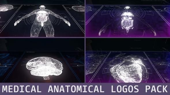Medical Anatomical Logos Pack
