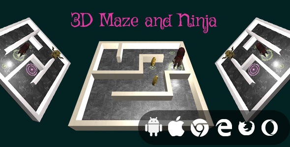 3D Maze Ninja - Cross Platform Educational Game