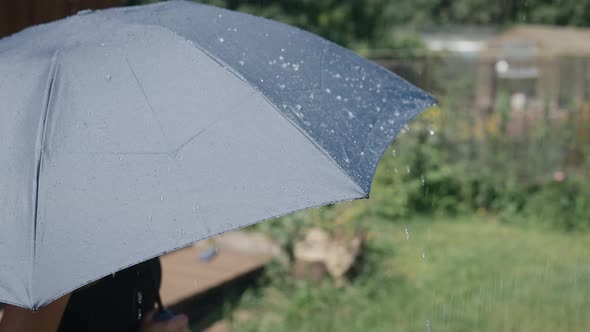 Summer Rain on a Sunny Day alt