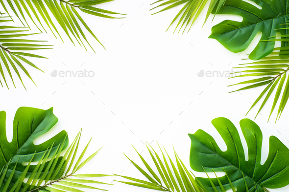 Tropical leaves background vector design. Summer leaves flat