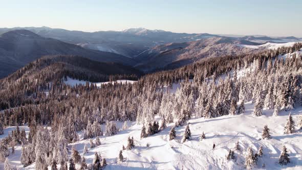 Drone Rising Above Forest Valley Revealing Mountain Range at Sunrise in Winter