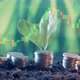 Multilayered Image of Stock Charts and Coins with Plants on Them - VideoHive Item for Sale