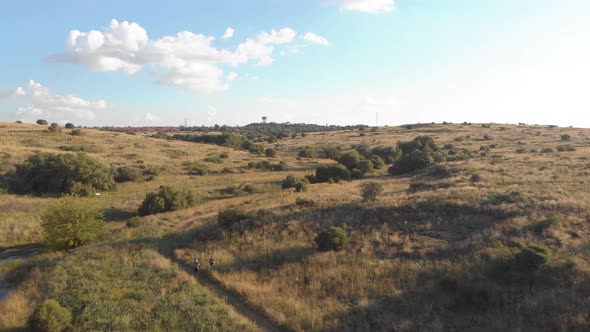 Aerial Fly Over Stream in summer with Green Summer Field alt