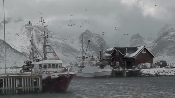 Fishing Boats and Blizzard