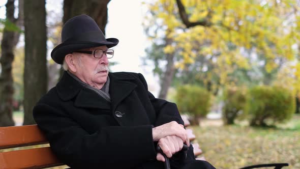 Old Retired Man Spends Time in Autumn Park Lots of Yellow Leaves on the Sidewalk alt