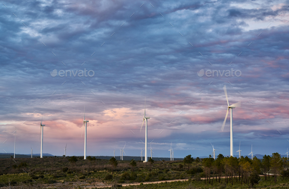 renewable energy windmill field wind is inexhaustible and totally renewable and clean - Stock Photo - Images