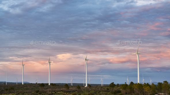 renewable energy windmill field wind is inexhaustible and totally renewable and clean - Stock Photo - Images