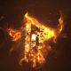 Fire Logo Reveal - VideoHive Item for Sale