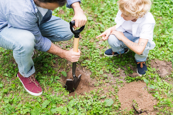 father and son digging ground in forest with shovels, ecology