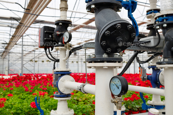 Pipelines and pumps for heating and irrigation in a modern greenhouse