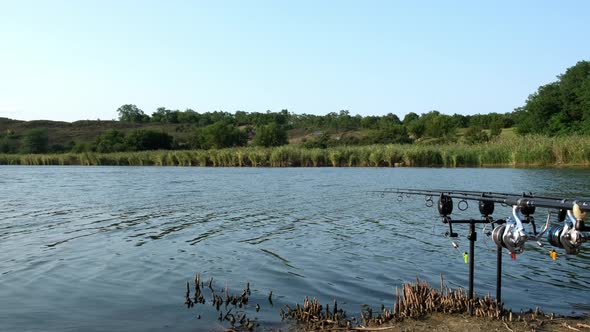 Carp Fishing Rods with Carp Bite Indicators and Reels Set Up on Rod Pod on a Background of Lake or alt