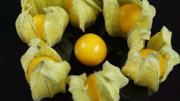 Physalis Berry Plant With Flowers In The Form Of Lanterns.