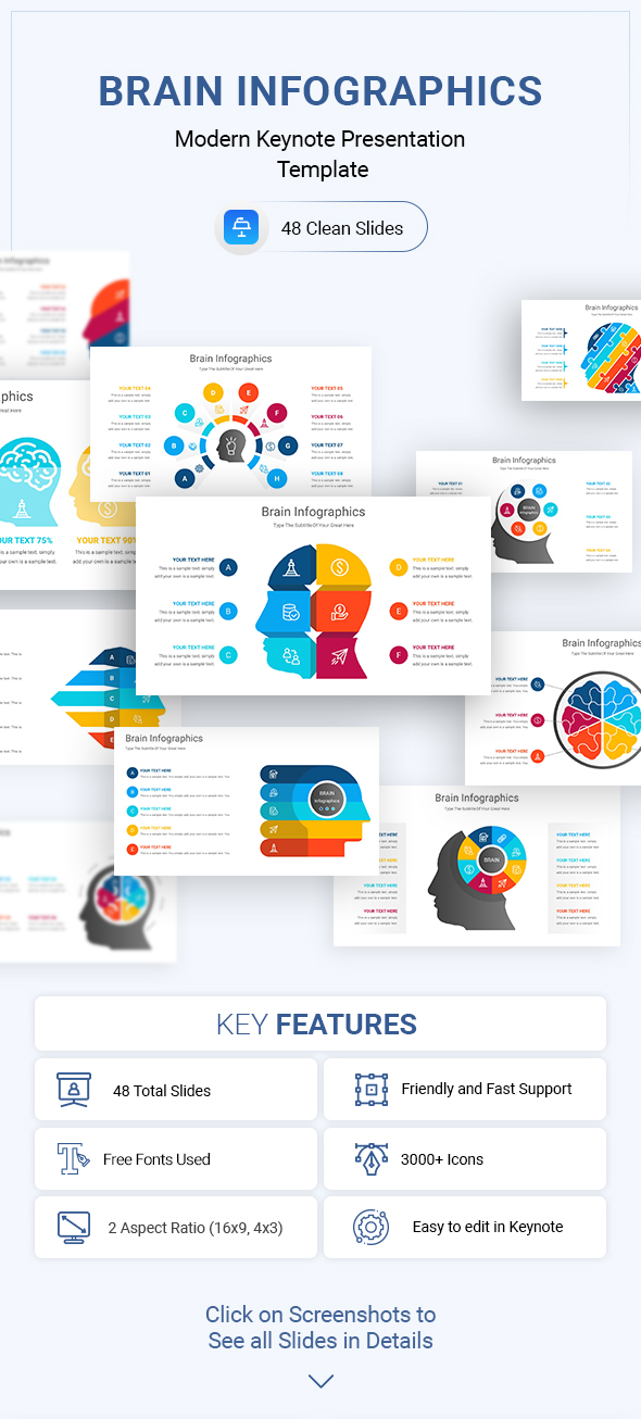 Brain Infographics Keynote Presentation