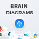 Brain Infographics Keynote Presentation
